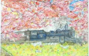 SLとサクラ - HIDE