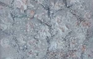 梅雪 - 久保田 俊