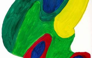 オウム - キモキレイ