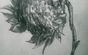 枯れ、貧万笑理(みまわり)2019作品 - 真鍋哲地