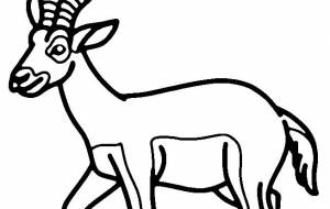 ブラックバック - シマハイエナ