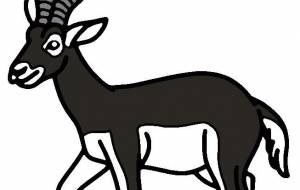 ブラックバック - シマハイエナ