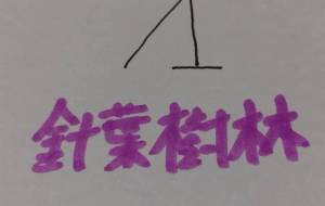 針葉樹林 - 天音