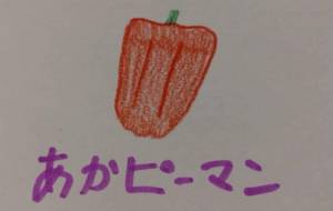 赤ピーマン - 天音