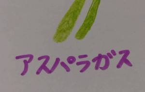 アスパラガス - 天音