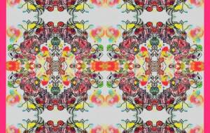 アートの声 - しょも