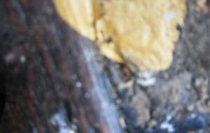 イライラする、 - 真鍋哲地