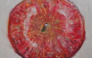 リンゴ上から - まかろんちゃん