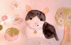 桜とハチワレ猫のてっちゃんはなちゃん - mika hiyama 