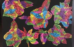 芯が花時分 - 明紅葉