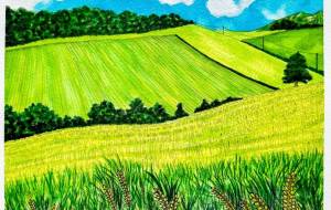 夏の碧い麦畑の美瑛 - 洸迦