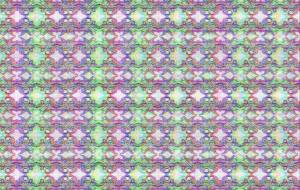 蟹【A】 - しょも