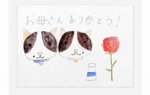 ハチワレ猫 てっちゃんはなちゃん 夫婦 母の日 カーネーション -