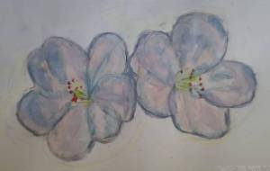 桜 - まかろんちゃん