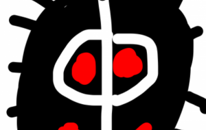 ウニかな - 笹谷正博