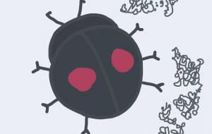 しあわせを運んできてくれたてんとう虫 - TA-BO-μ