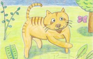 猫の散歩 - 一石島伊那