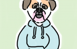 ブルドッグ - まかろんちゃん