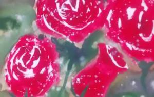 「渋赤薔薇」 - サオリ 