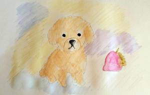 トイプードルといちご グラデーション -