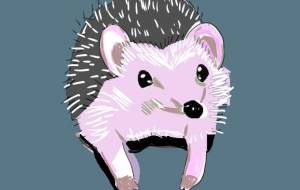 ハリネズミのハリーちゃん - Lee