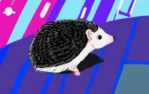 ハリネズミのポッターちゃん - Lee