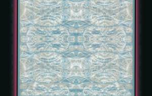 しょも缶 - しょも