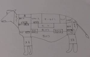 牛肉の部位 - 天音