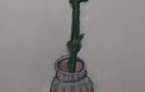 青いカーネーション - まかろんちゃん