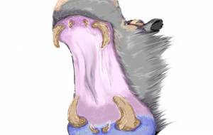 大口のカバ - MASATAKA