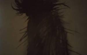 ニコニコら~フーフー馬ポテト - 真鍋哲地