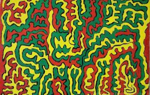 虚構と現実 - 屋久島大樹