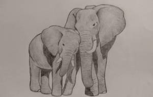 象の親子 - 伊藤恵美里