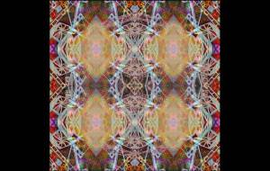 マイクロチップ - しょも