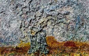 しだれさくら - 久保田 俊