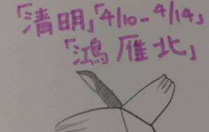 鴻雁北 - 天音