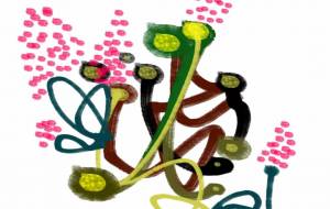 希望に向かって - 泉 里彩