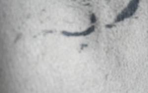 絵の具を買うお金、絵画活動、 - 真鍋哲地