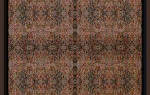 ◆ショコラ◆ - しょも