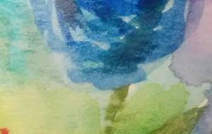 「澄んだ雨の一粒に……………」 - サオリ