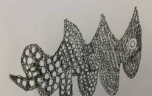 なるさ - 笹谷正博