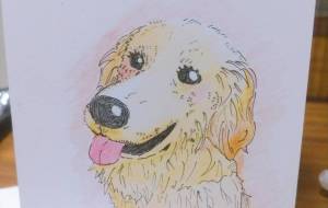 ゴールデンレトリバー - ラッコアラ