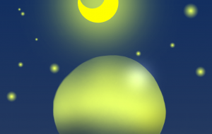 月夜のカクテル - ぷに