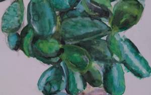 カネノナルキ - まかろんちゃん