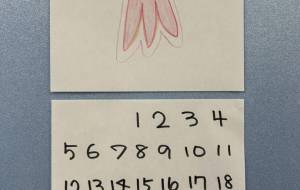 1月 - 名もなき米3号