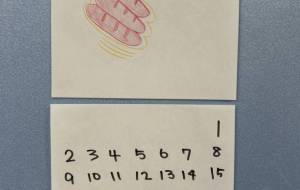 2025 カレンダー - 名もなき米3号