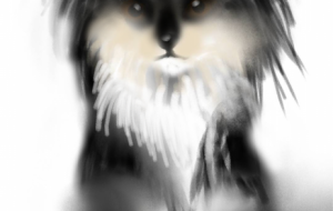 カフーくん - 相田朋子