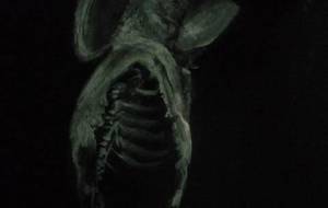 大地農夫、心の収穫白骨いのち絵画作品(環境的貧困層アート) - 真鍋哲地