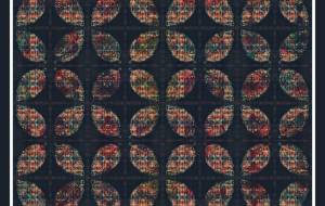 リーフ - しょも