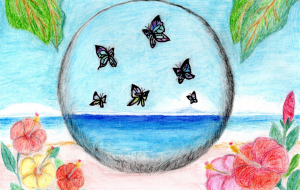 水晶球の中の蝶が恋した島 - 柴田 和子 